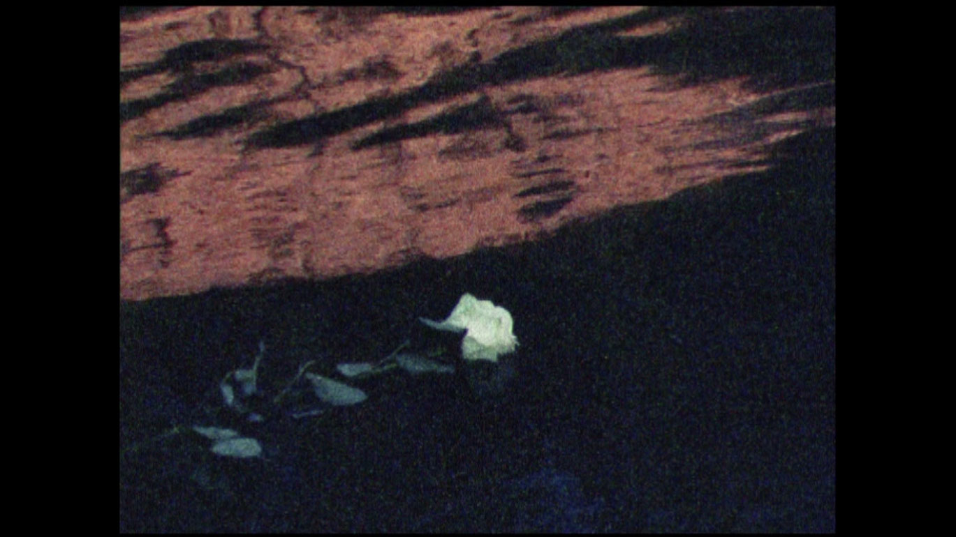 Friedl vom Groeller_Sacrificio per la sirena_courtesy sixpackfilm_02