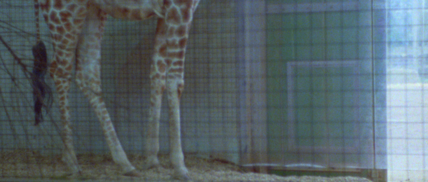 Filmstill