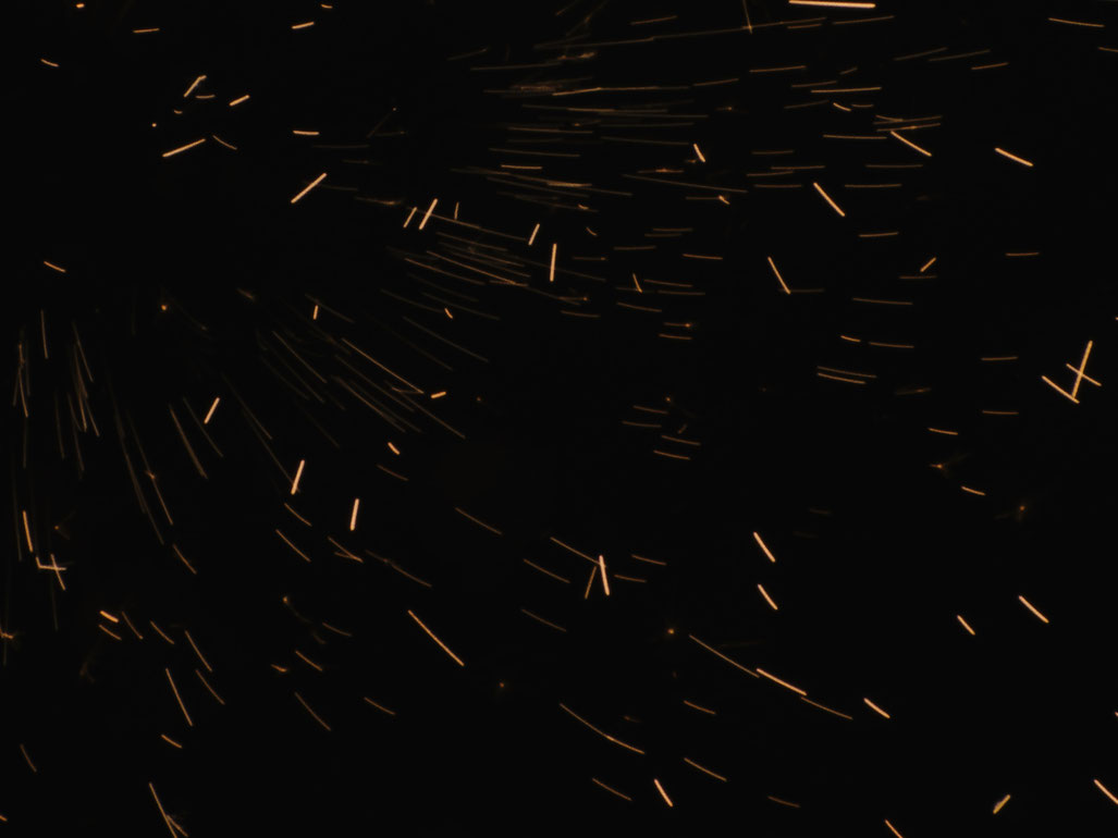 Kasik_Dynamic particles in motion_courtesy sixpackfilm_2