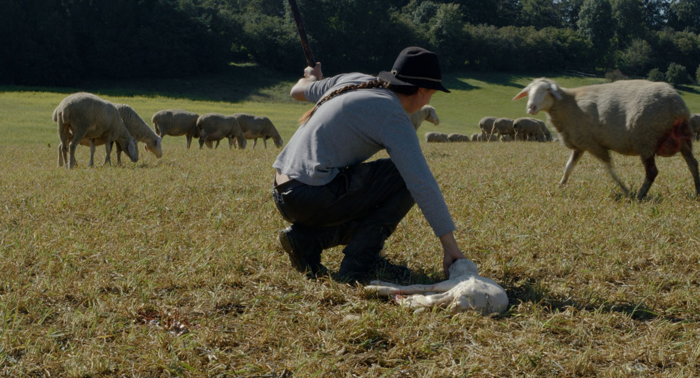 LeonhardPill_MussDasPferdAuchArbeiten_Courtesysixpackfilm_02