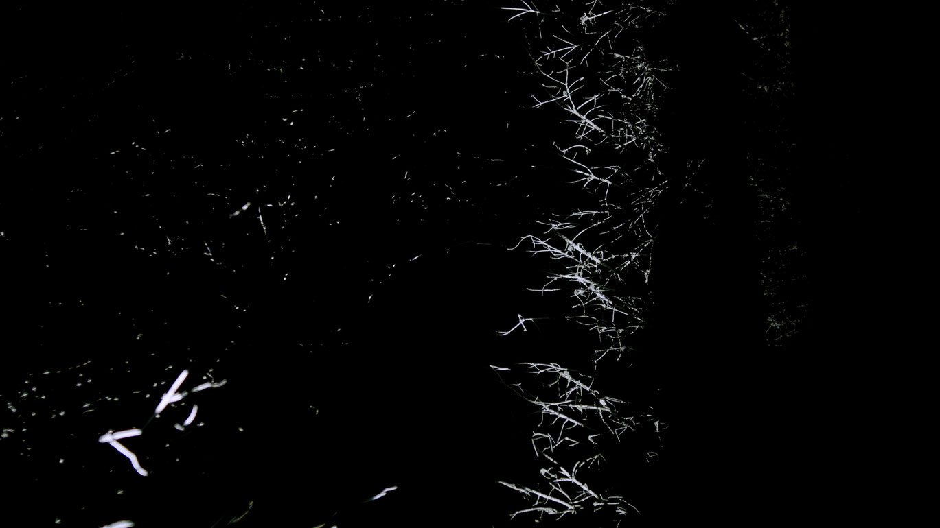 ManuelKnapp_aboutthenatureofdarkness_Courtesysixpackfilm_03