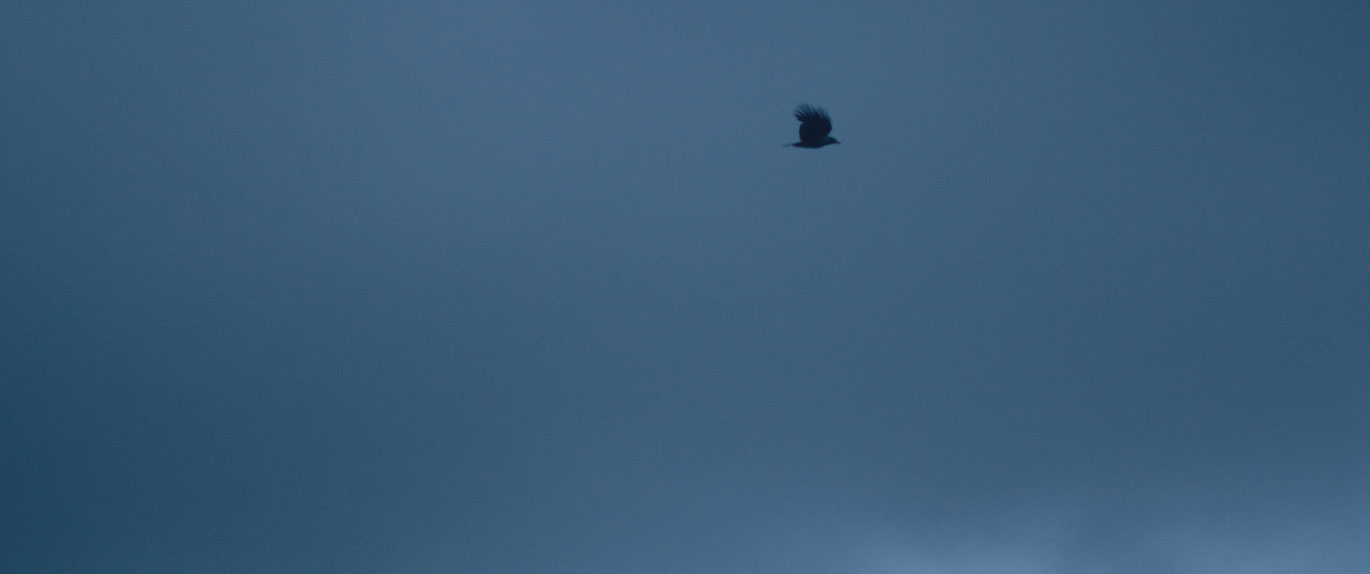 Maria Arlamovsky_sich langsam nähern_courtesy sixpackfilm_01