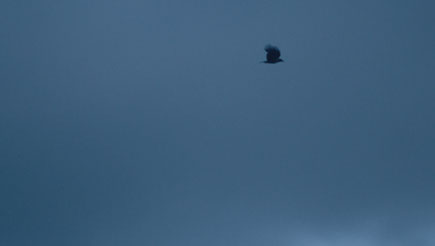 sich langsam nähern