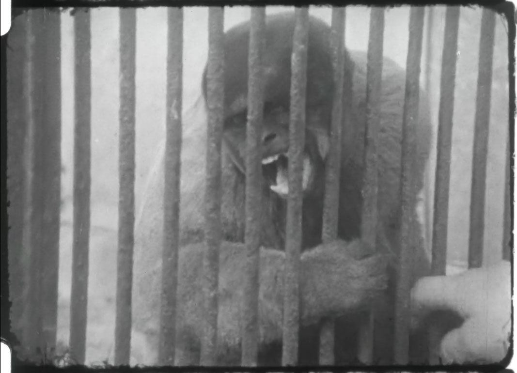 Scheugl_The creation of man_courtesy sixpackfilm_01